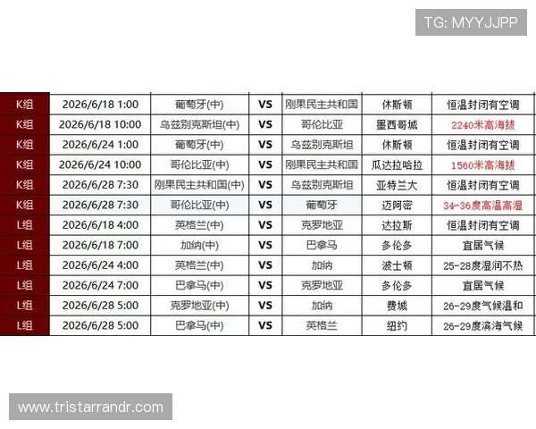 2026年世界杯捷克对南非比赛将在何地举行，详细场馆介绍及观赛指南